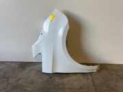 Kotflügel rechts vorne von einem Mercedes V-Klasse