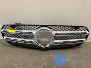 Grill von einem Mercedes GLC-Klasse