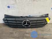 Grill von einem Mercedes Vito (9197)