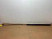 Gasdämpfer Motorhaube links von einem Mercedes SL