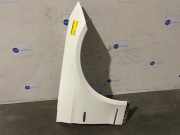 Kotflügel rechts vorne von einem Mercedes E-Klasse (799)