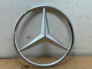 Stern von einem Mercedes R-Klasse