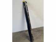 Schwelle links von einem Mercedes CL (197)