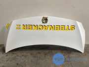 Motorhaube von einem Mercedes Citan (9147)