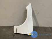 Kotflügel links vorne von einem Mercedes E-Klasse (149)