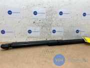 Gasdämpfer Motorhaube Set von einem Mercedes C-Klasse (197)