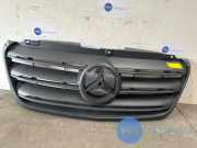 Grill von einem Mercedes Sprinter