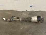 Stoßdämpfer links hinten von einem Mercedes S-Klasse