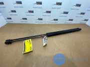 Gasdämpfer Motorhaube Set von einem Mercedes CLS-Klasse (197)