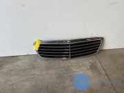 Grill von einem Mercedes E-Klasse