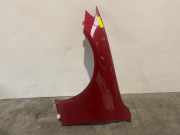 Kotflügel links vorne von einem Mercedes E-Klasse