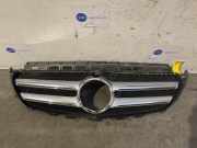 Grill von einem Mercedes E-Klasse (799)