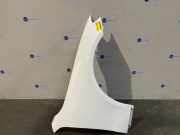 Kotflügel rechts vorne von einem Mercedes E-Klasse