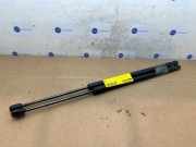 Gasdämpfer Motorhaube Set von einem Mercedes E-Klasse