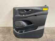 Türverkleidung 2-türig rechts von einem Mercedes Vito