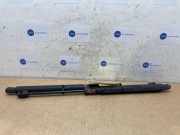 Gasdämpfer Motorhaube Set von einem Mercedes C-Klasse