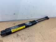 Gasdämpfer Motorhaube Set von einem Mercedes C-Klasse (890)