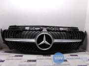 Grill von einem Mercedes E-Klasse (890)