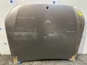 Motorhaube von einem Mercedes S-Klasse (0000)