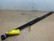 Gasdämpfer Motorhaube Set von einem Mercedes CLA (191)