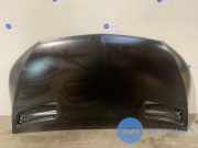 Motorhaube von einem Mercedes Sprinter