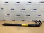 Gasdämpfer rechts hinten von einem Mercedes B-Klasse