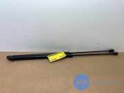 Gasdämpfer Motorhaube Set von einem Mercedes E-Klasse