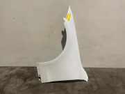 Kotflügel links vorne von einem Mercedes C-Klasse