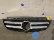 Grill von einem Mercedes E-Klasse