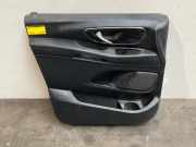 Türverkleidung 2-türig links von einem Mercedes Vito