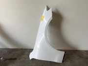 Kotflügel rechts vorne von einem Mercedes E-Klasse