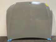 Motorhaube von einem Mercedes S-Klasse (0000)