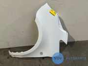 Kotflügel links vorne von einem Mercedes Vito (9147)