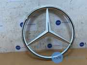 Stern von einem Mercedes Sprinter