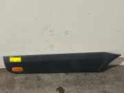Zierleiste von einem Mercedes Sprinter (7755)