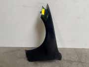 Kotflügel links vorne von einem Mercedes E-Klasse