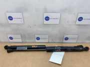 Gasdämpferset Kofferraumklappe von einem Mercedes Citan