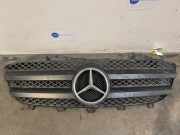 Grill von einem Mercedes Sprinter