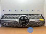 Grill von einem Mercedes GLE