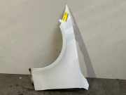 Kotflügel links vorne von einem Mercedes C-Klasse (885)