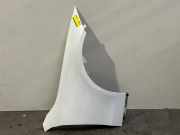 Kotflügel rechts vorne von einem Mercedes C-Klasse (885)