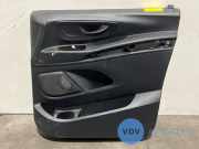 Türverkleidung 2-türig rechts von einem Mercedes Vito