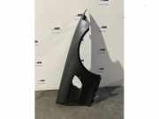 Kotflügel rechts vorne von einem Mercedes AMG GT