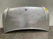 Motorhaube von einem Mercedes Viano (9744)