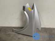 Kotflügel links vorne von einem Mercedes Viano (9744)