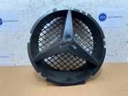 Stern von einem Mercedes E-Klasse