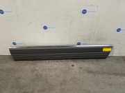 Zierleiste von einem Mercedes S-Klasse (172)