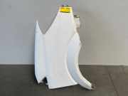 Kotflügel rechts vorne von einem Mercedes Sprinter (678)