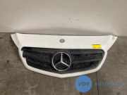 Grill von einem Mercedes Citan (9147)