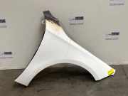 Kotflügel rechts vorne von einem Mercedes A-Klasse (149)